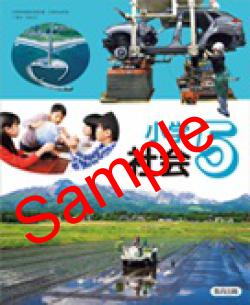 ��ͽ��ۡ�������8ǯ�١ۡ�������ǡ����ؼҲ񣵡�����507���������