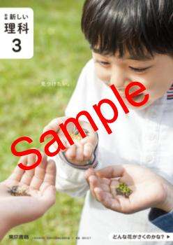 ��ͽ��ۡ�������8ǯ�١ۡ�������ҡ����ԡ����������ʡ���������307���������