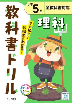 ���ع������ʽ�ɥ�롡ɸ����  ���� 5ǯ��ȯ�Լҡ�ʸ����������6ǯ������