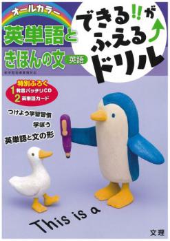 �Ǥ��뤬�դ���ɥ�롡��ñ��Ȥ��ۤ��ʸ������