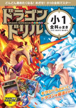 �ڳظ��ۡ��ɥ饴��ɥ��  �������ʤΤޤ�